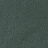 Dark green granular texture with tonal variations, displaying an uneven, mottled pattern across the frame; resembles distressed fabric.